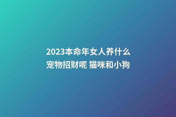 2023本命年女人养什么宠物招财呢 猫咪和小狗